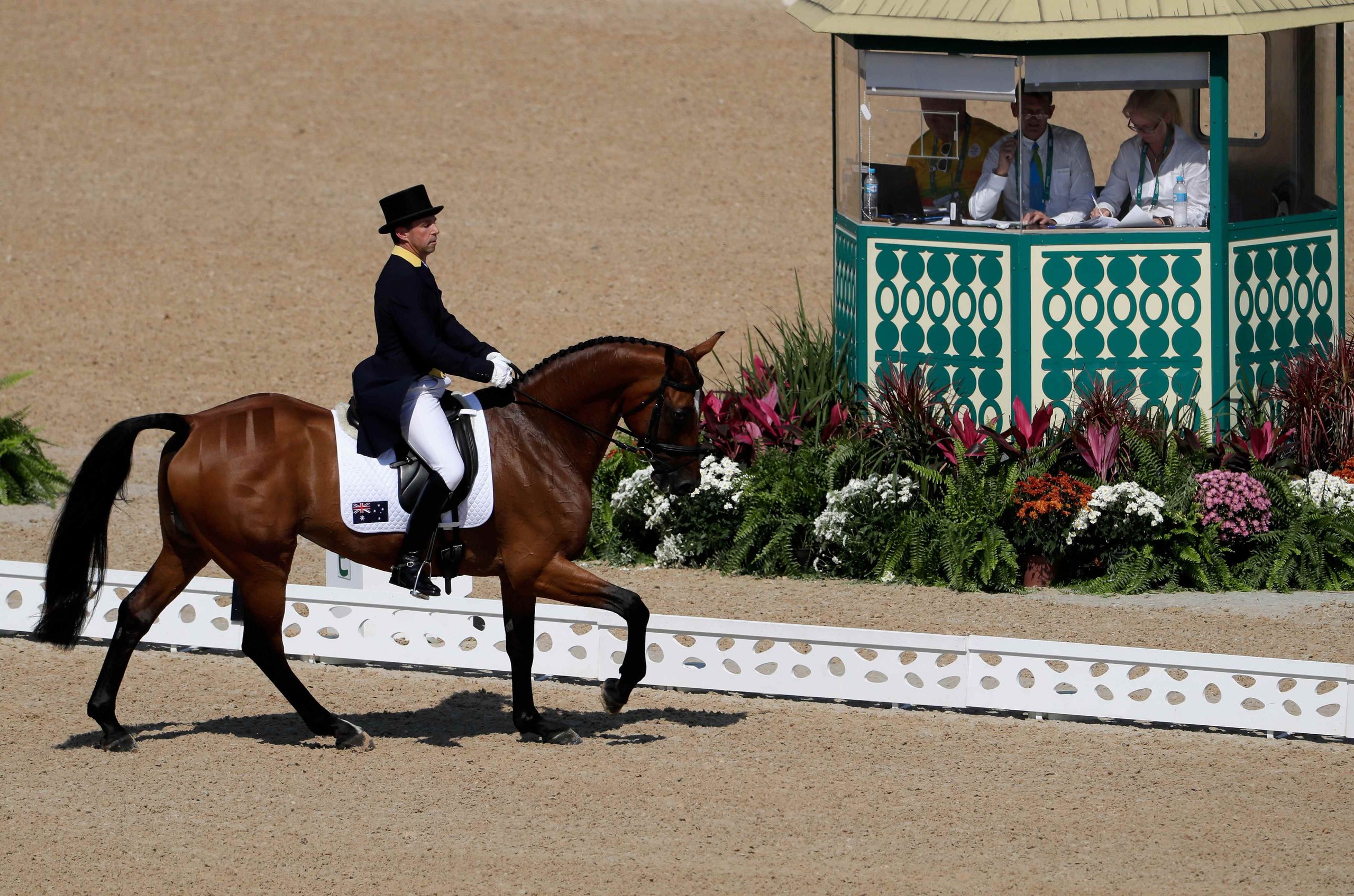 Equestrian - Dressage