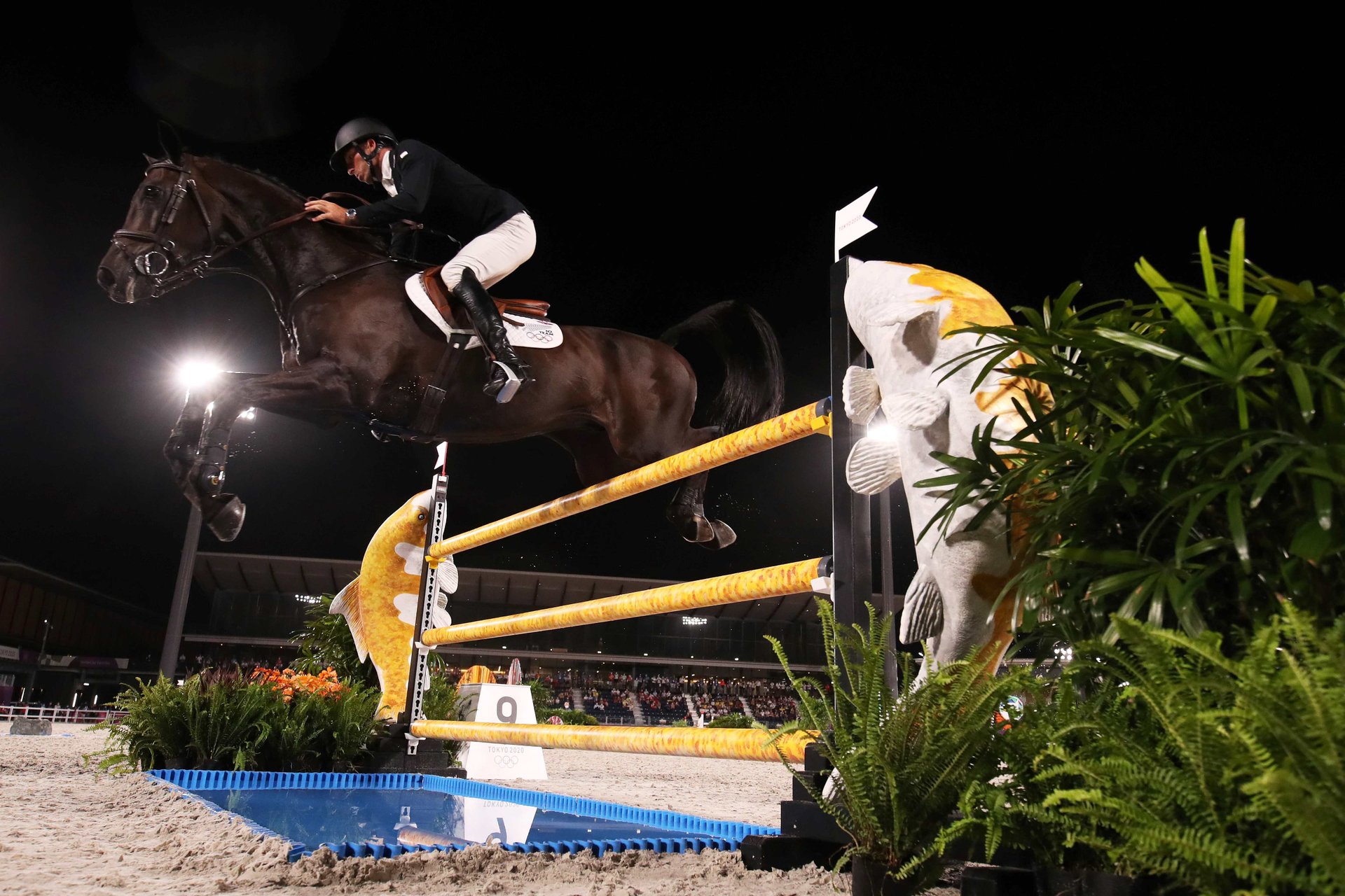 Equestrian - Eventing